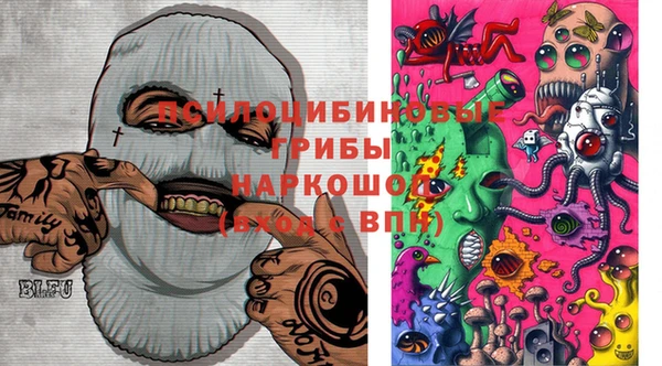 хмурый Балабаново