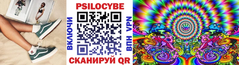 где купить наркотик  Чердынь  Псилоцибиновые грибы MAGIC MUSHROOMS 
